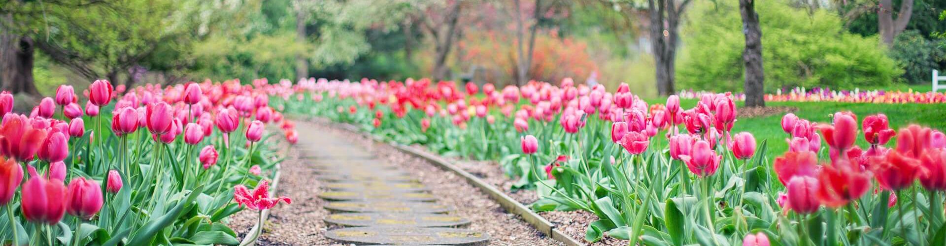 Coaching Bremen Aljes